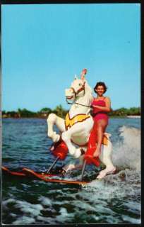 SARASOTA FL Sunshine Springs Gardens Water Skiing Horse  