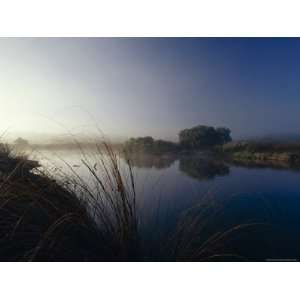  Reeds and Rushes in a Misty, Still Lagoon at Dawn, Coorong 