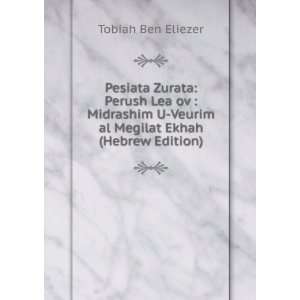   Veurim al Megilat Ekhah (Hebrew Edition) Tobiah Ben Eliezer Books