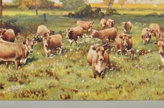 Vintage R. Atkinson Fox Jerseys Print Rural Cows Grazing Pasture NEW 