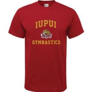  IUPUI Jaguars Cardinal Red Youth Gymnastics Arch T Shirt 