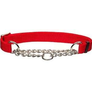  Coastal Pet Check Personalized Training Dog Collar in Red 