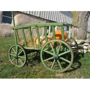  Amish Old Fashioned Large Goat Wagon with Liner, Forest 