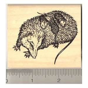  Ma Opossum with Babies Rubber Stamp Arts, Crafts & Sewing
