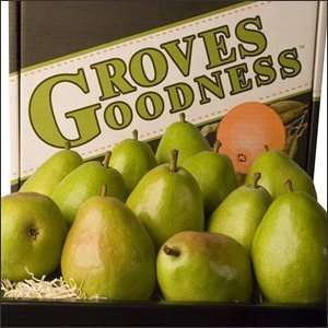 Green DAnjou Pears Grocery & Gourmet Food