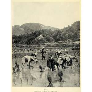 1931 Print Kyoto Japan Rice Paddy Fields Harvest Agriculture Japanese 
