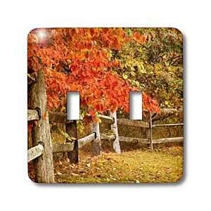 TNMGraphics Autumn   Autumn Walk Along Wooden Fence   Light Switch 