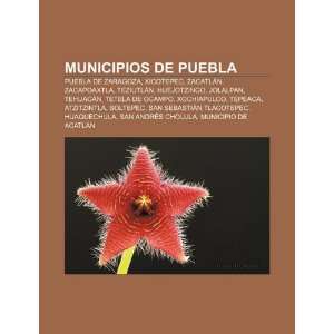   de Ocampo (Spanish Edition) (9781231417898) Fuente Wikipedia Books