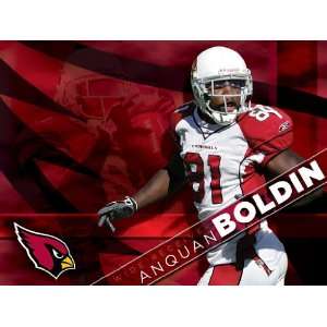  Anquan Boldin HD 11x17 Arizona Cardinals #01 HDQ 