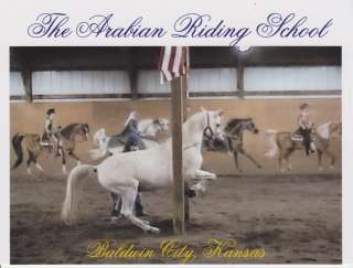   more arabian and horse breeds postcards in my store i combine shipping
