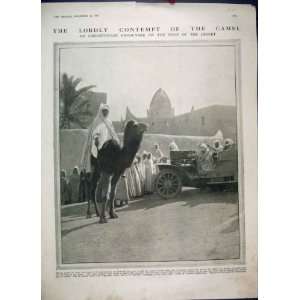  Camel Algeria Desert Motor Car Sahara Print 1911