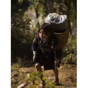 Cat Cat Village Hiking Trail, Sapa, Northern Vietnam, Southeast Asia 