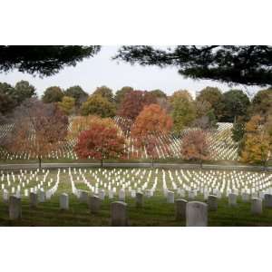 Arlington National Cemetery in the fall, Virginia   16x20   Fine Art 