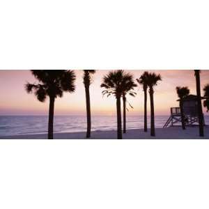  Trees and a Lifeguard Hut on Lido Beach, Gulf of Mexico, St Armands 