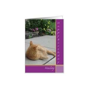  Hailey Happy Birthday Orange Tiger Cat Card Health 