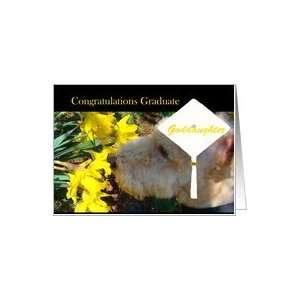   Graduation, Goddaughter, Terrier in Graduation Cap Smells Flowers Card