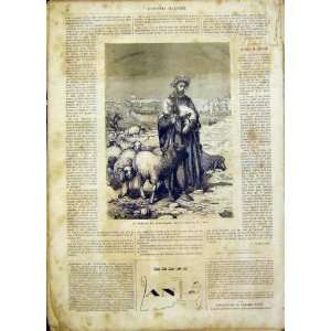  Farmer Jerusalem Sheep Webb French Print 1865