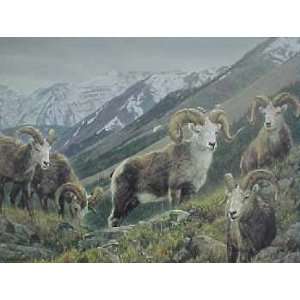 Nancy Glazier   Stone Sheep   Stone Mountain 