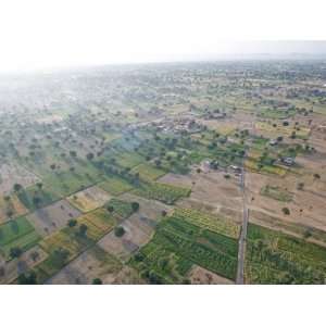 View of Fields and Trees from Hot Air Balloon, Early Morning, Chomu 