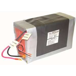 LiFePO4 38120P Battery 76.8V 20Ah (1536 Wh, 100A rate) with PCM (144 