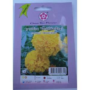  Marigold Prosperous Flower Seeds   1 Pack 25 Approximately 