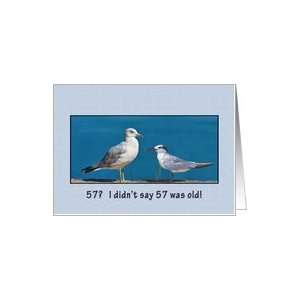  Birthday, 57th, Gull and Tern Birds Card Toys & Games