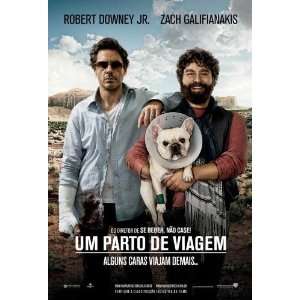  Due Date Movie Poster (11 x 17 Inches   28cm x 44cm) (2010 
