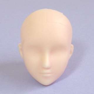 Most heads from other manufacturers of vinyl 1/6th scale dolls will 