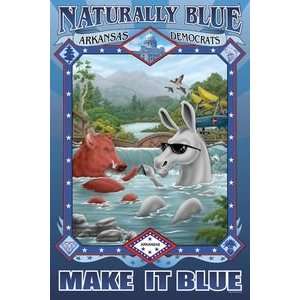  Naturally Blue Arkansas Democrats   16x24 Giclee Fine Art 