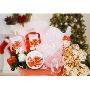 Ultimate Christmas Spa Basket, Sweet Pomegranate, Special Element Gift 