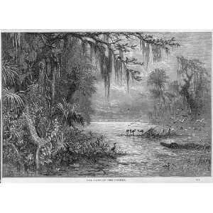  The land of the Creeks,1884,Swamps,Florida,FL,AL Mason