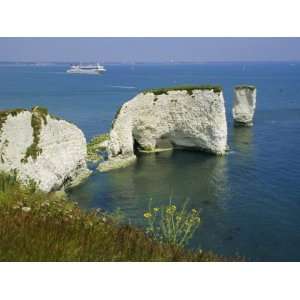  Old Harry Rocks, Isle of Purbeck, Dorset, England, UK 