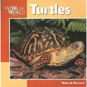  Turtles Deborah/ Dewey, Jennifer (ILT) Dennard Books