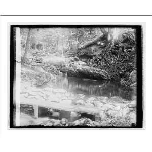  Historic Print (L) Hoover camp on Rapidan, 8/17/29