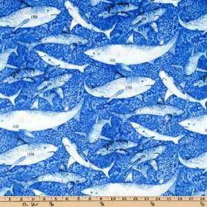  44 Wide Timeless Treasures Great Sharks Blue Fabric By 