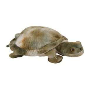  Adventure Planet Plush   SNAPPING TURTLE ( 8 inch ) Toys & Games