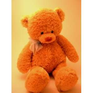   Baby Gund Cuddly Pals Big Bundles Lovey 15 Teddy Bear Toys & Games