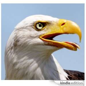 Eagle   Animal Kingdom App Book Shop  Kindle Store