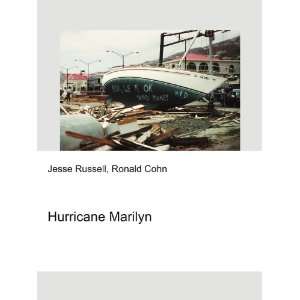  Hurricane Marilyn Ronald Cohn Jesse Russell Books