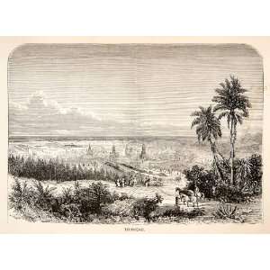  1871 Wood Engraving Caribbean Sea Trinidad Tobago Island 