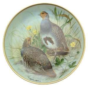   of the World Basil Ede Common Partridge plate CP1877