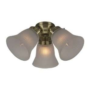   White 3 Light Transitional Fitter with CFL F300CFL