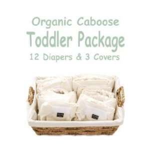  Organic Caboose All Natural Toddler Diaper Package Baby