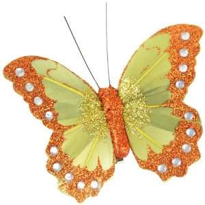  Touch of Nature 24185 Fancy Butterfly Embellishment, 4 
