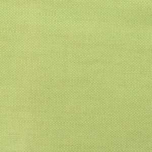  Fabricut Glazed Union Lime 2987610