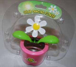 Solar Dancing Daisy Flower ~ Pink ~ CUTE ~ Great Gift  