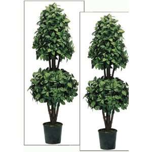    Set of 2 Cone and Ball Camellia Topiary Trees