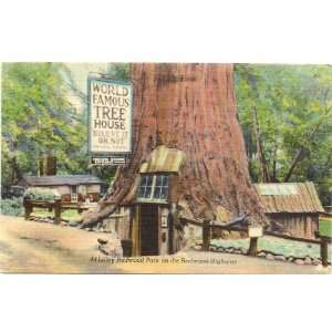 1940s Vintage Postcard Tree House at Lilley Redwood Park 