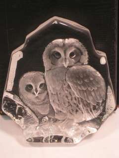   Signature Collection Care in Wildlife Tawny Owl with baby #1565