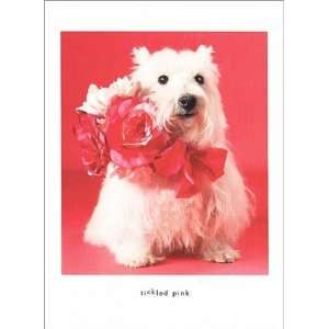  White Scottie Tickled Pink Thank You Card 